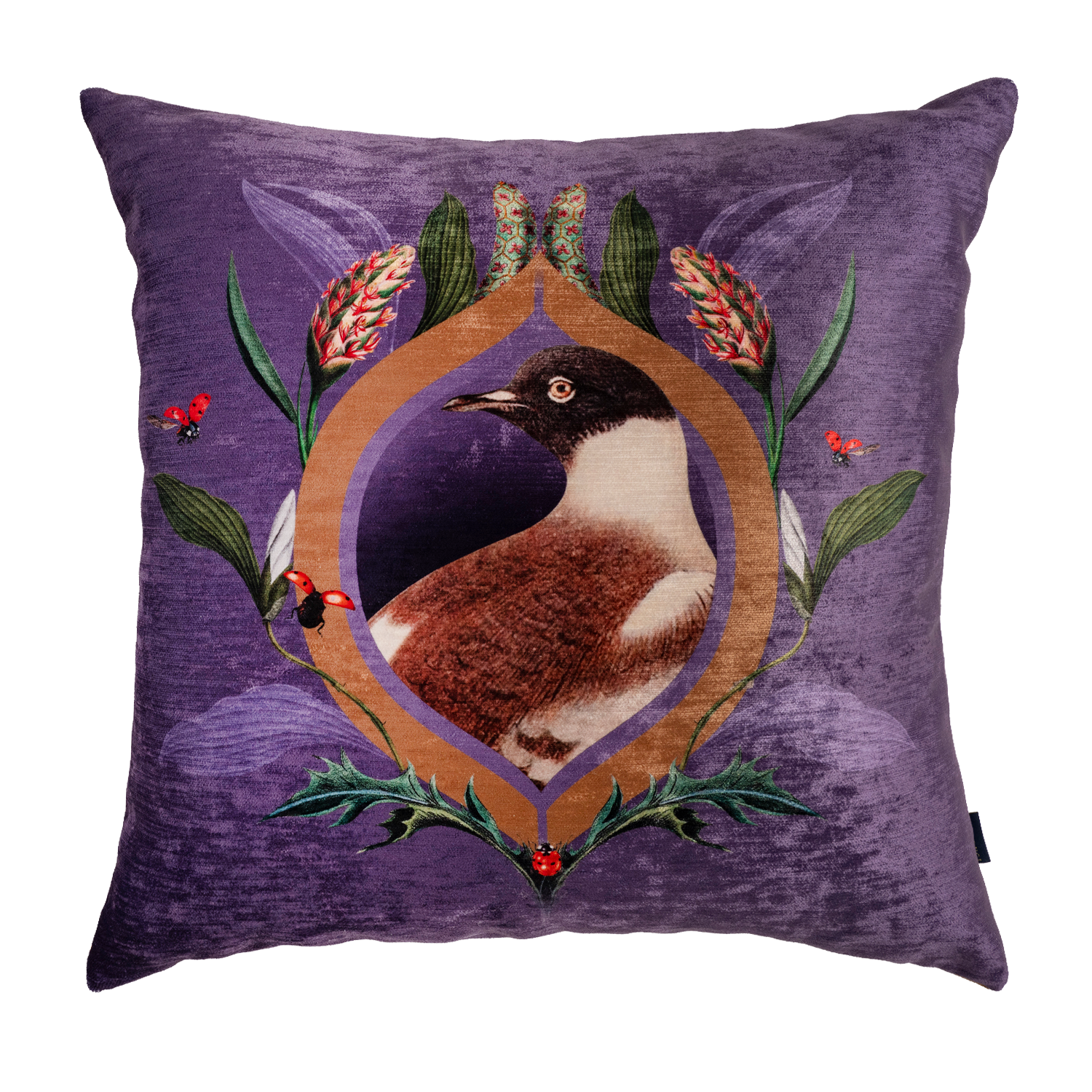 Velvet bird outlet cushion